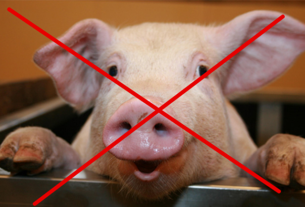 Это вам не свиней выращивать: Домашнее хозяйство в России... в каждом дворе