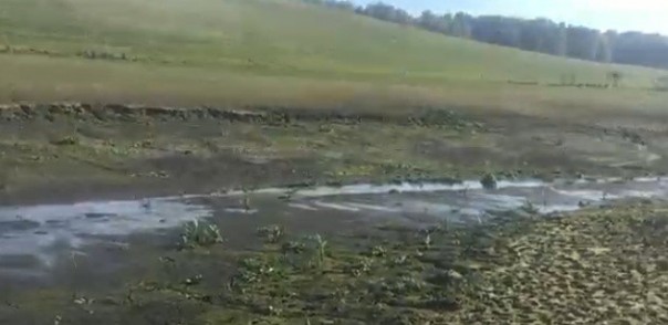 В Алтайском крае исчезло два озера