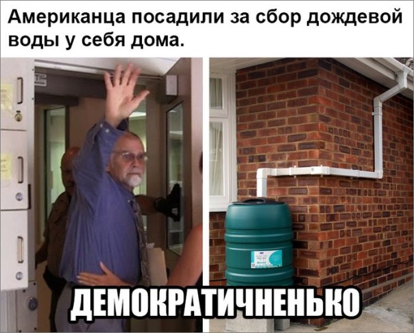 "Мыздобулы" в картинках. Смешных и не очень... 19-09-2016