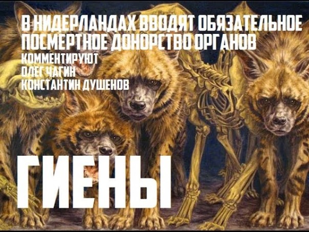 «В Нидерландах вводят обязательное посмертное донорство органов»