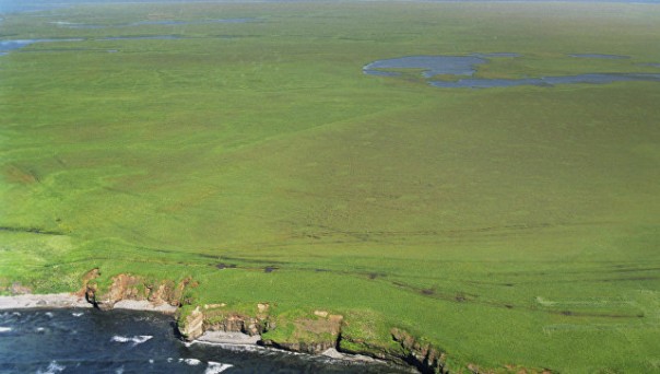 СМИ узнали о планах Японии "пожертвовать" двумя Курильскими островами