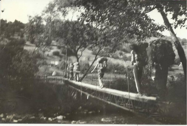 Зарождение современного украинского фашизма Зарождение современного украинского фашизма