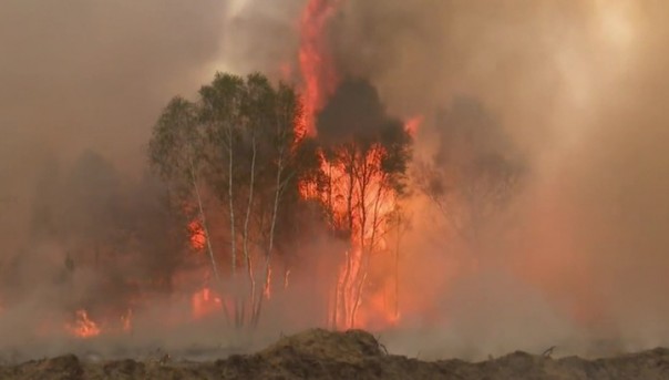 На старом полигоне в Германии взорвалась фосфорная бомба