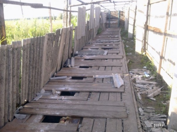 Настало время очпуительных историй: "Взбунтовавшиеся боевики бросили российских офицеров в выгребную яму полевого туалета" Настало время очпуительных историй: "Взбунтовавшиеся боевики бросили российских офицеров в выгребную яму полевого туалета"