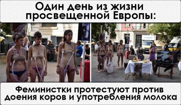 "Мыздобулы" в картинках. Смешных и не очень... 27-09-2016