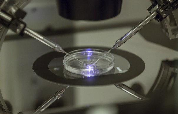 СМИ: в Мексике родился первый в мире ребенок с генетическим материалом трех родителей