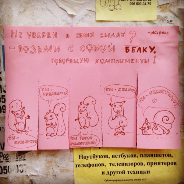 "Мыздобулы" в картинках. Смешных и не очень... 29-09-2016