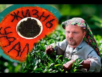 Анатолий Шарий. Патриот, приезжай, лимоны поспели