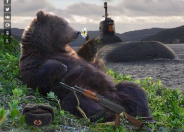 ХДС/ХСС: "Штайнмайер - тряпка! Нам нужно запугивать Россию столько, сколько потребуется"