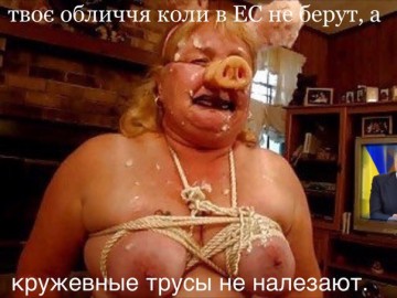 "Мыздобулы" в картинках. Смешных и не очень... 07-09-2016