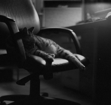 Грация и мистика