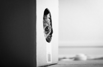 Грация и мистика