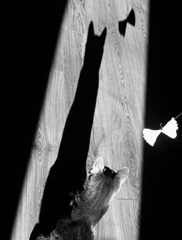 Грация и мистика