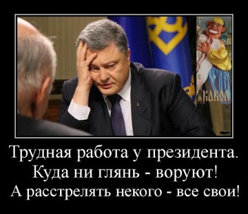 "Мыздобулы" в картинках. Смешных и не очень... 13-09-2016