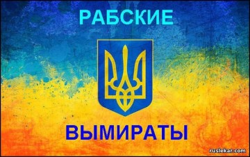 "Мыздобулы" в картинках. Смешных и не очень... 13-09-2016