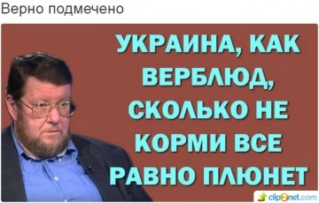 "Мыздобулы" в картинках. Смешных и не очень... 13-09-2016