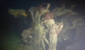 Исследователи обнаружили в Арктике пропавший 168 лет назад корабль «Террор»