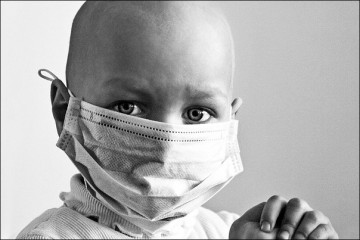 Маленькая ода жирным тварям