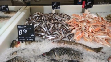 Еда станет для украинцев роскошью: Киев отменяет госрегулирование цен