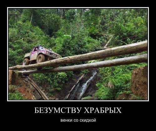 Ну что, поднимем с утра настроение? Посмеемся?