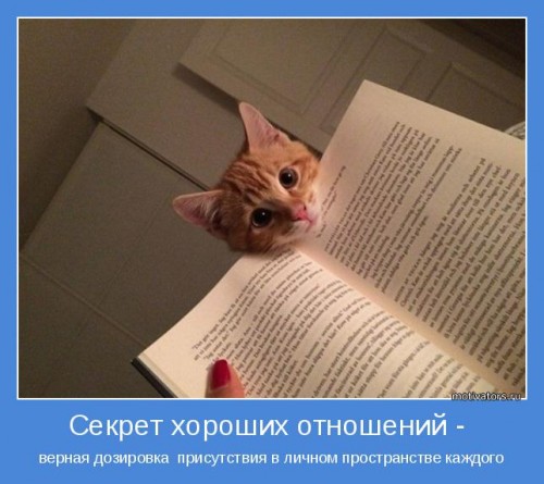Ну что, поднимем с утра настроение? Посмеемся?