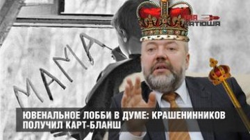 Ювенальное лобби в Думе: Крашенинников получил карт-бланш
