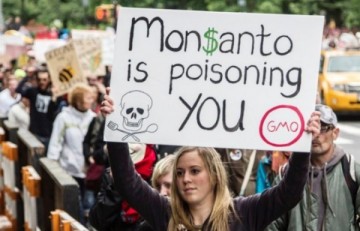 Monsanto: паразиты несут ГМО в Европу
