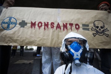 Monsanto: паразиты несут ГМО в Европу