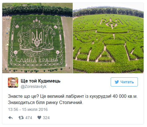 Назло курьезам