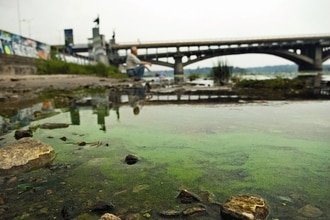 Гнилая вода: экологи бьют тревогу – Днепр погибает