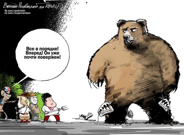 Пожалейте своих псов, куда им до медведя