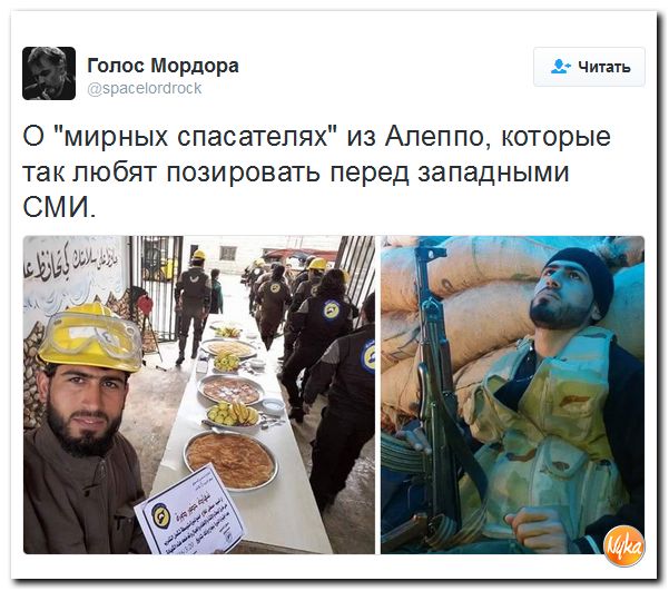 "Мыздобулы" в картинках. Смешных и не очень... 2-10-2016