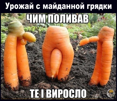 "Мыздобулы" в картинках. Смешных и не очень... 2-10-2016