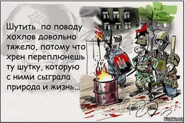 "Мыздобулы" в картинках. Смешных и не очень... 3-10-2016
