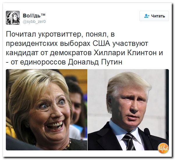 "Мыздобулы" в картинках. Смешных и не очень... 3-10-2016