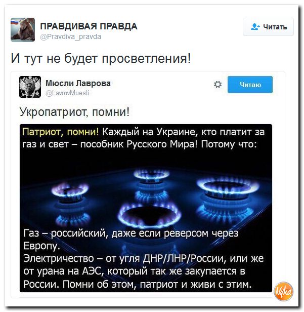 "Мыздобулы" в картинках. Смешных и не очень... 3-10-2016