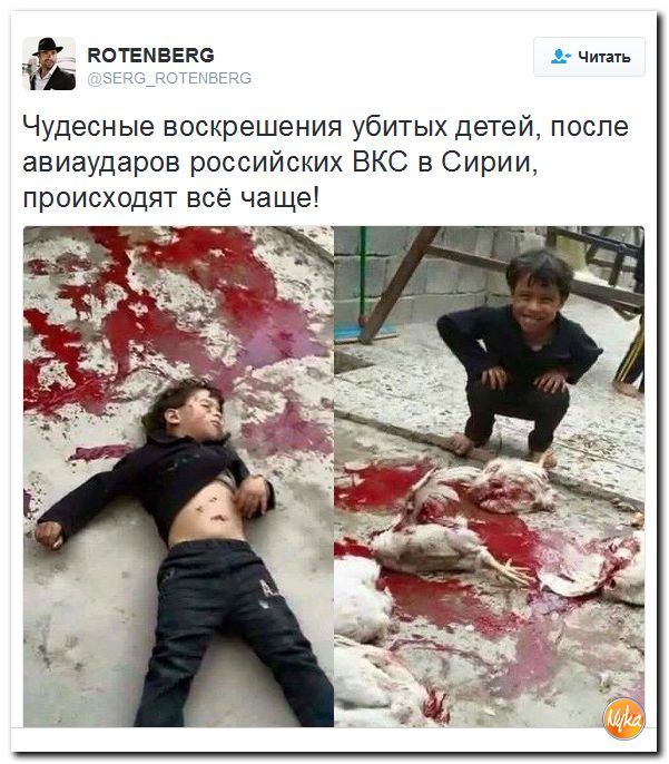 "Мыздобулы" в картинках. Смешных и не очень... 3-10-2016