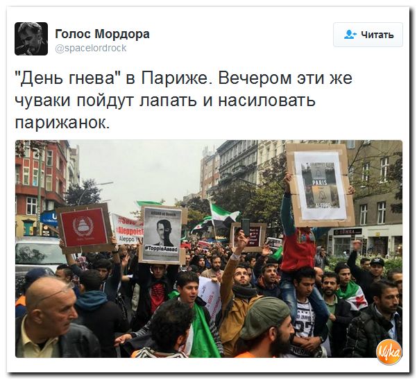 "Мыздобулы" в картинках. Смешных и не очень... 3-10-2016
