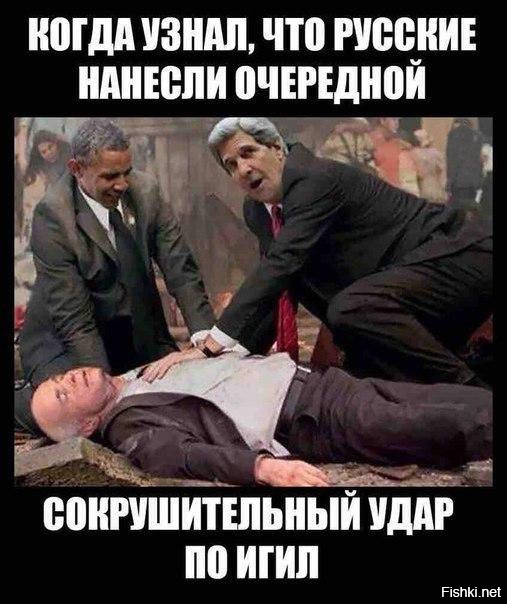 "Мыздобулы" в картинках. Смешных и не очень... 3-10-2016