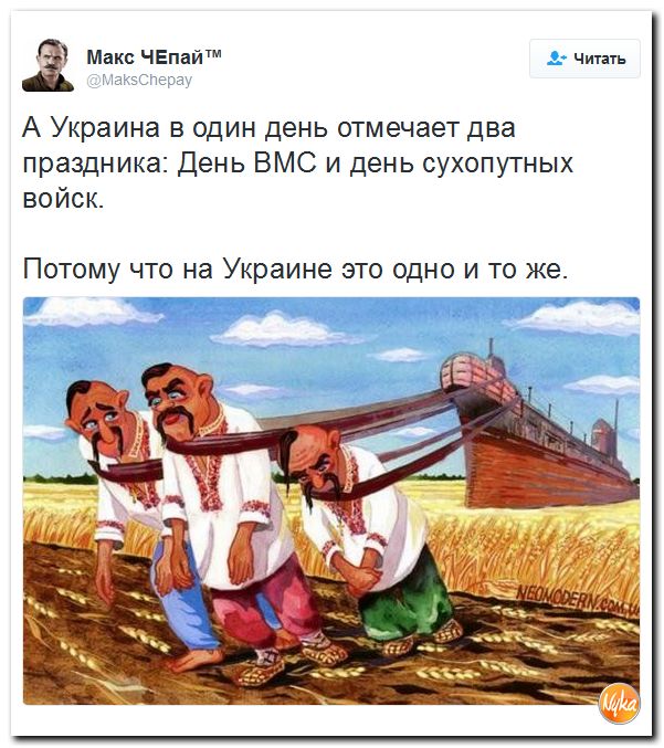 "Мыздобулы" в картинках. Смешных и не очень... 3-10-2016