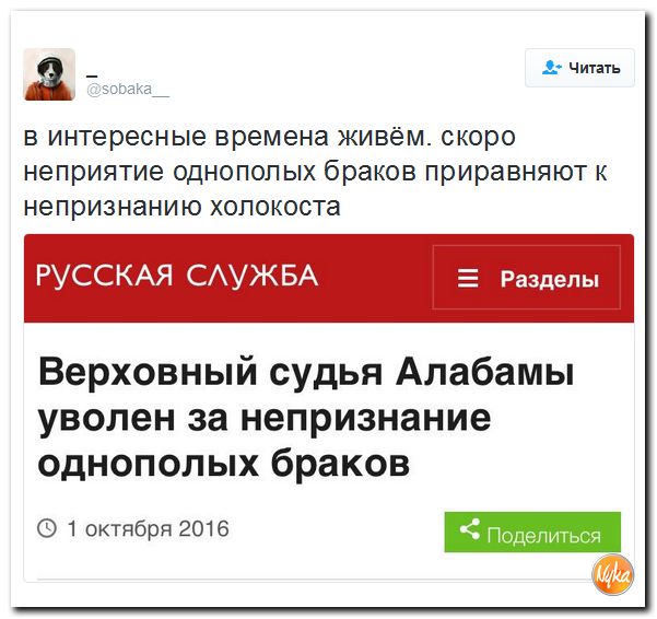 "Мыздобулы" в картинках. Смешных и не очень... 3-10-2016
