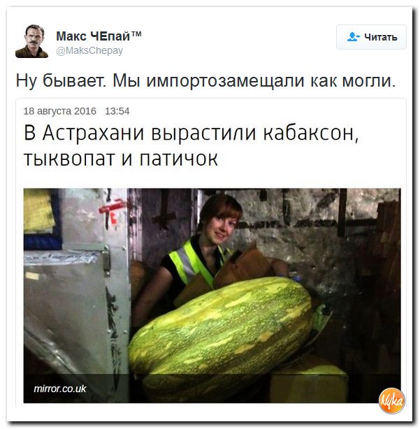 "Мыздобулы" в картинках. Смешных и не очень... 3-10-2016