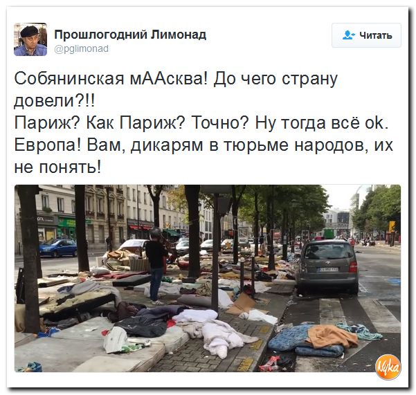 "Мыздобулы" в картинках. Смешных и не очень... 3-10-2016