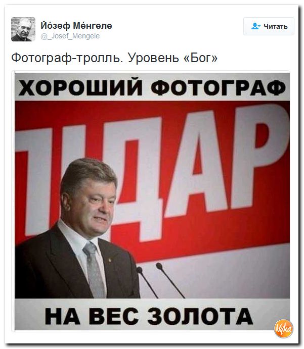 "Мыздобулы" в картинках. Смешных и не очень... 3-10-2016