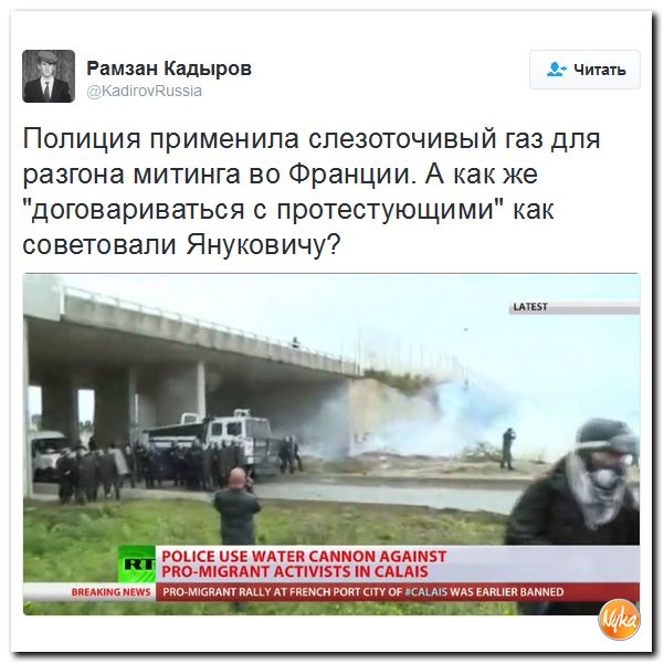 "Мыздобулы" в картинках. Смешных и не очень... 3-10-2016
