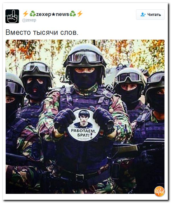 "Мыздобулы" в картинках. Смешных и не очень... 3-10-2016