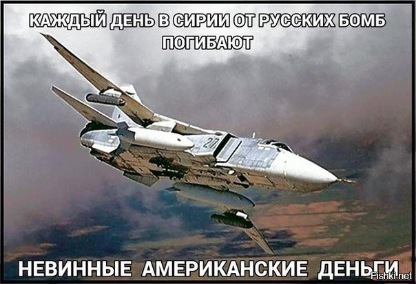 "Мыздобулы" в картинках. Смешных и не очень... 3-10-2016