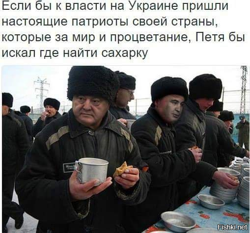 "Мыздобулы" в картинках. Смешных и не очень... 3-10-2016
