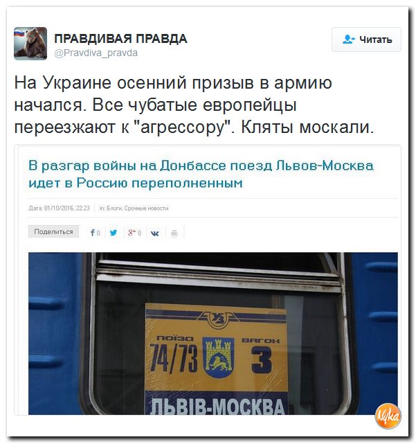 "Мыздобулы" в картинках. Смешных и не очень... 3-10-2016