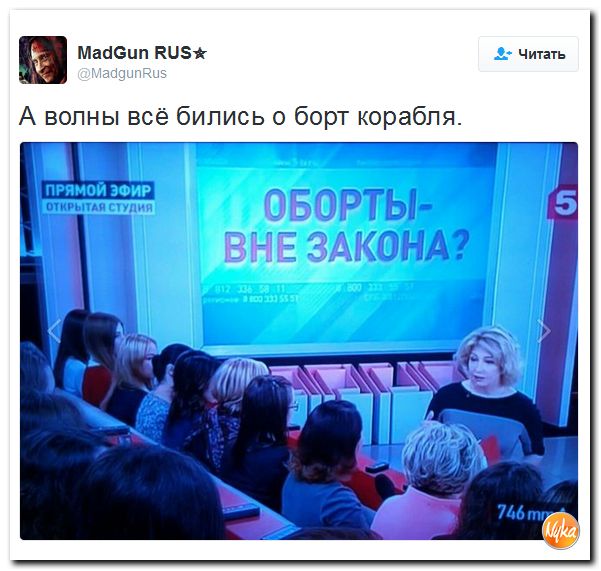 "Мыздобулы" в картинках. Смешных и не очень... 3-10-2016